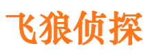 文安市私家侦探